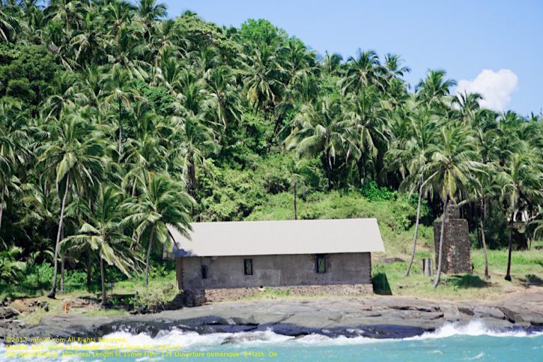 guyane-iles-du-salut