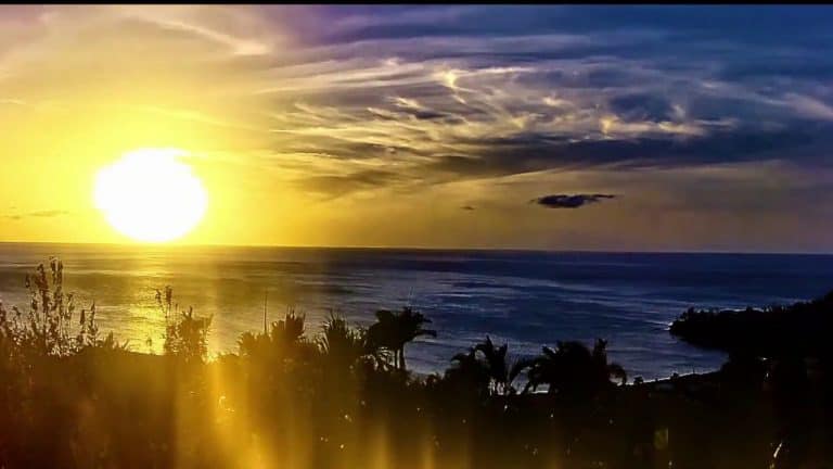 Video thumbnail for youtube video 5bmbuppsxmc