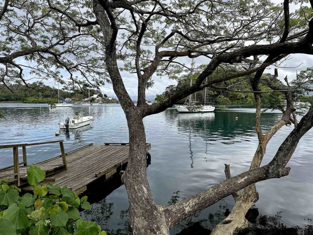 DJI_20251025_091212_229-savusavu-sanj-diego-webtv-iles