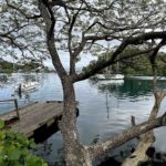 Pacifica épisode 10 Savusavu Fidji