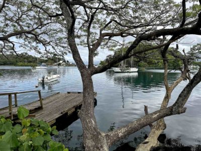 DJI_20251025_091212_229-savusavu-sanj-diego-webtv-iles