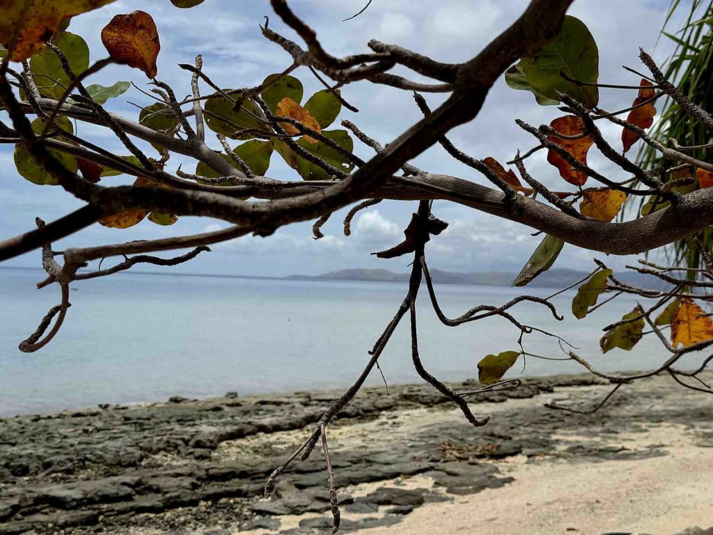 IMG_2471-Lautoka-fidji-sanj-diego-webtv-iles