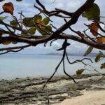 Pacifica épisode 20 Lautoka Fidji