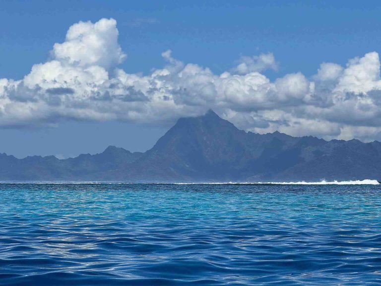 IMG_3411-Papeete-sanj-diego-webtv-iles