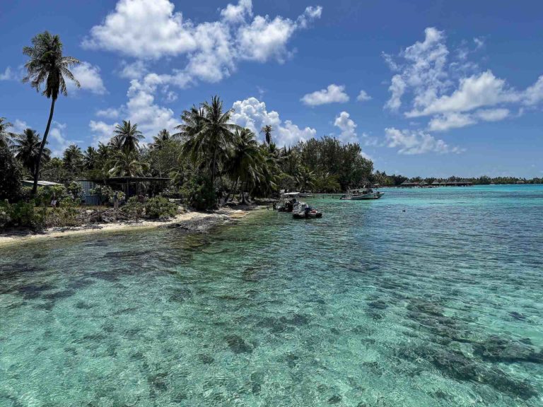 IMG_3551-Rangiroa-sanj-diego-webtv-iles