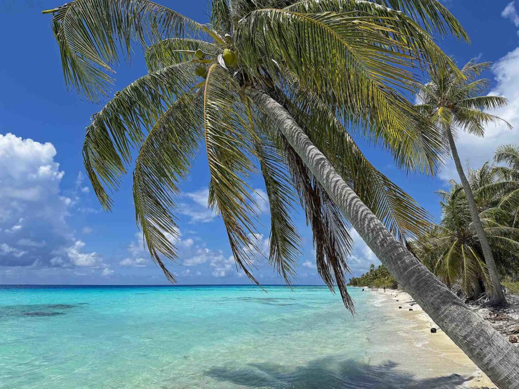 IMG_3701-Tuamotu-sanj-diego-webtv-iles