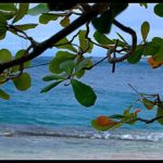 Bequia Les Grenadines